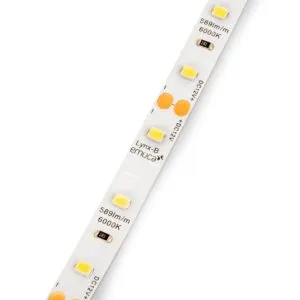 LED TRAKA LYNX BASIC 4,8W/M HLADNO BELA 6000K 60LED IP20 L-5M 12VDC